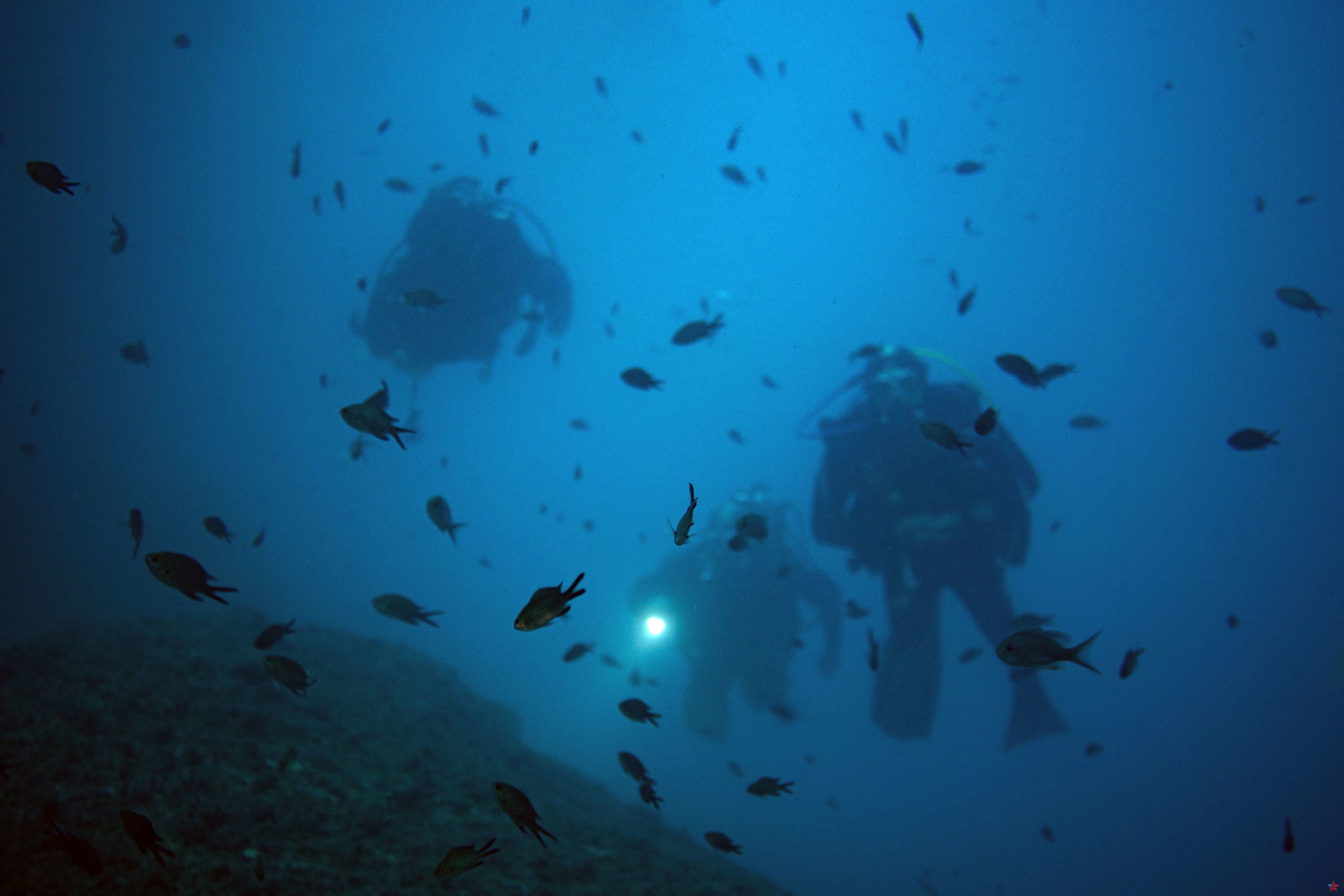 Treinta años después de su desaparición frente a la costa de Niza, dos buzos encontrados a 100 metros de profundidad