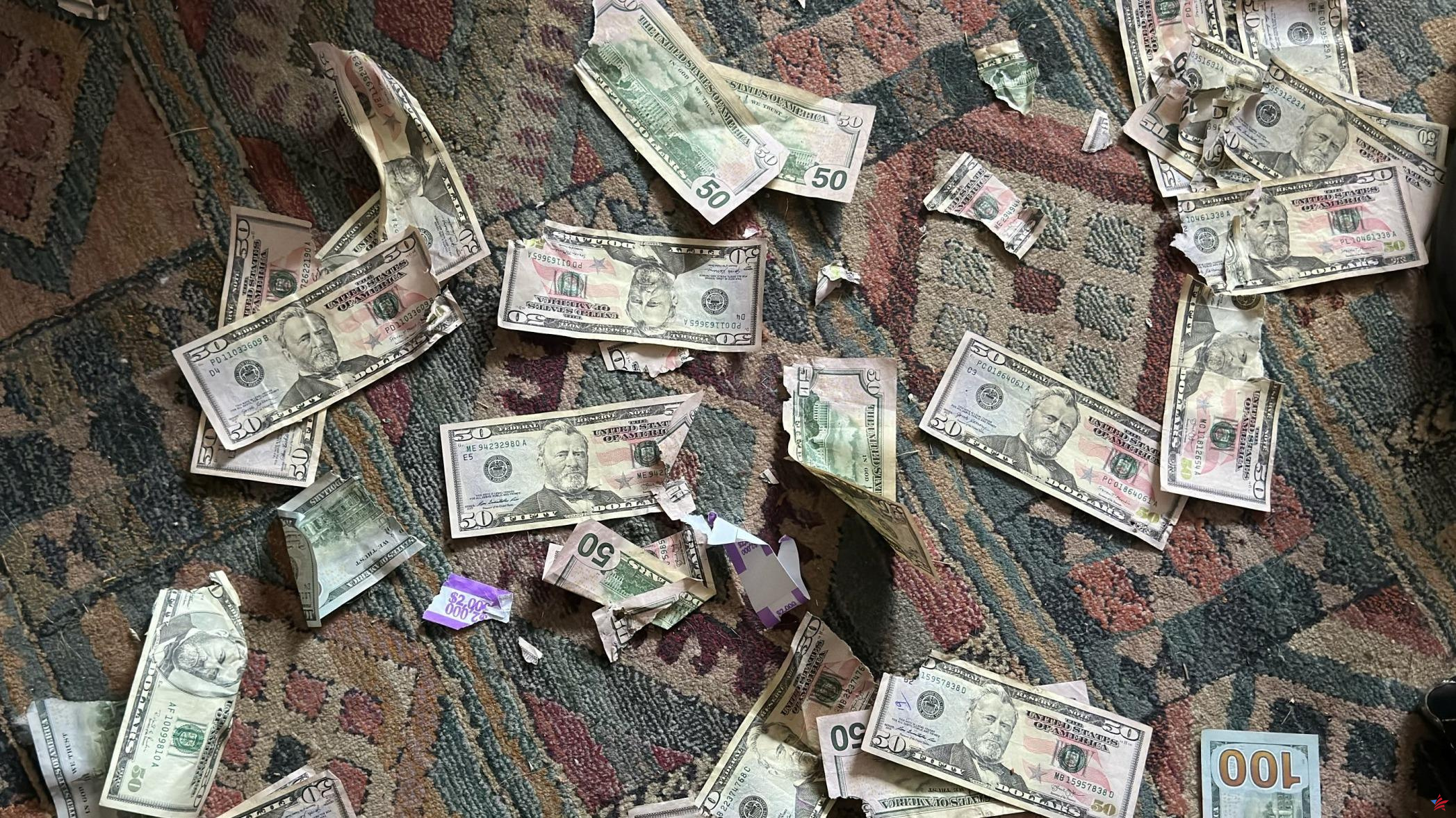 “Nunca pensé que lavaría dinero”: su perro devora 4.000 dólares, recuperan sus billetes con lejía