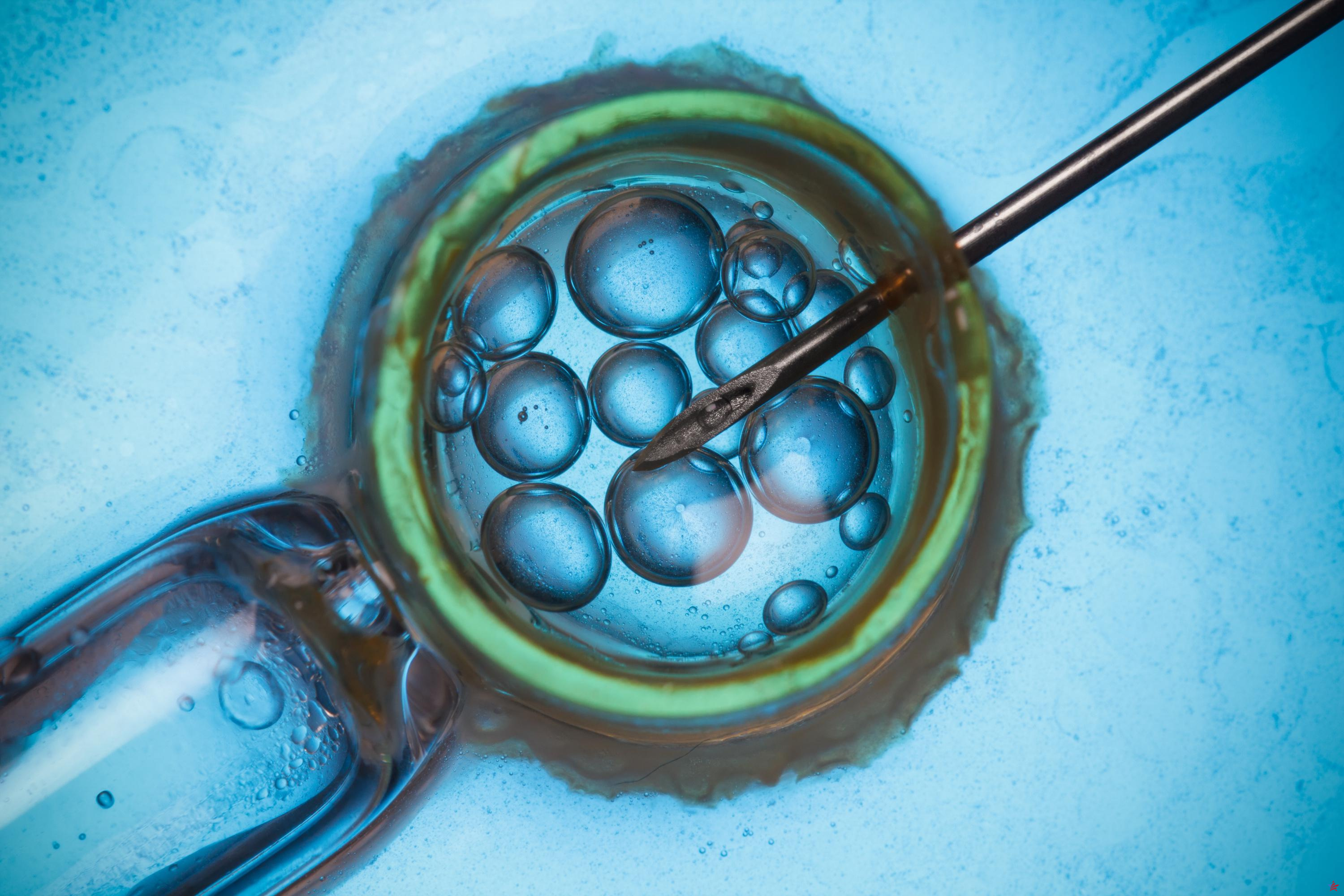 Legisladores de Alabama aprueban leyes para proteger la fertilización in vitro