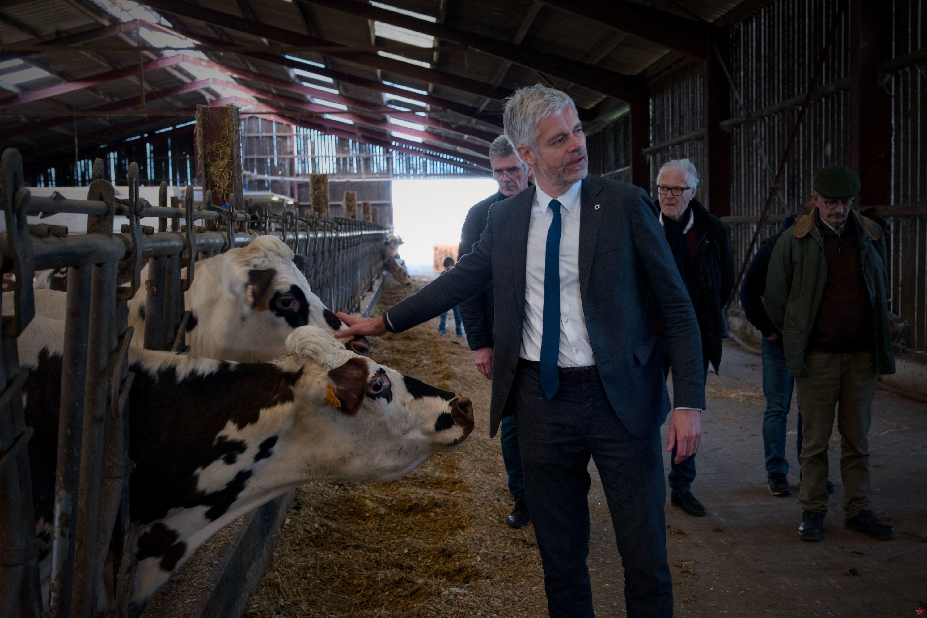 Laurent Wauquiez quiere que los agricultores estén “en una buena posición” en la lista de europeos de LR