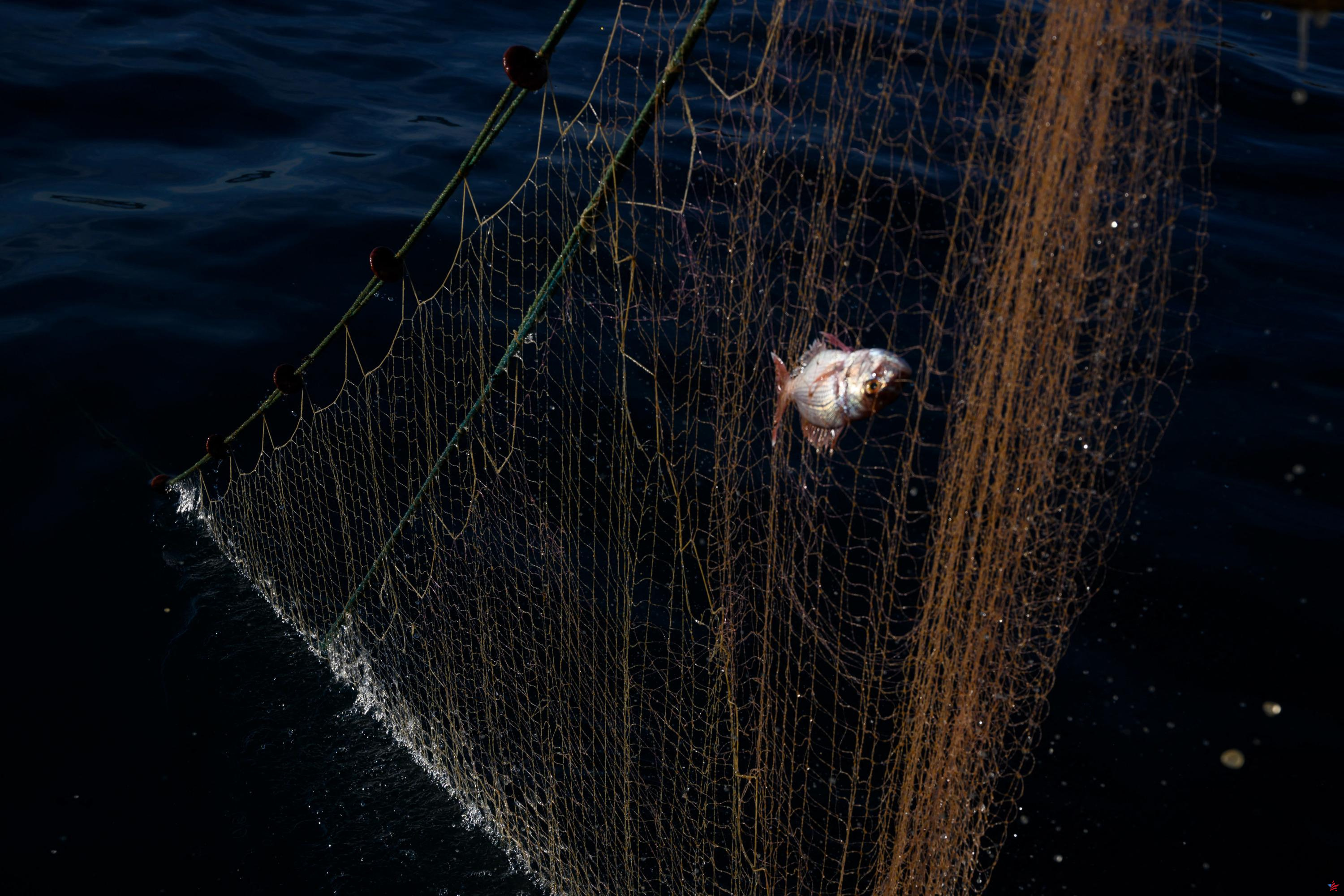 En Marsella, un pescador reincidente fue juzgado por pescar con red de arrastre en las calas