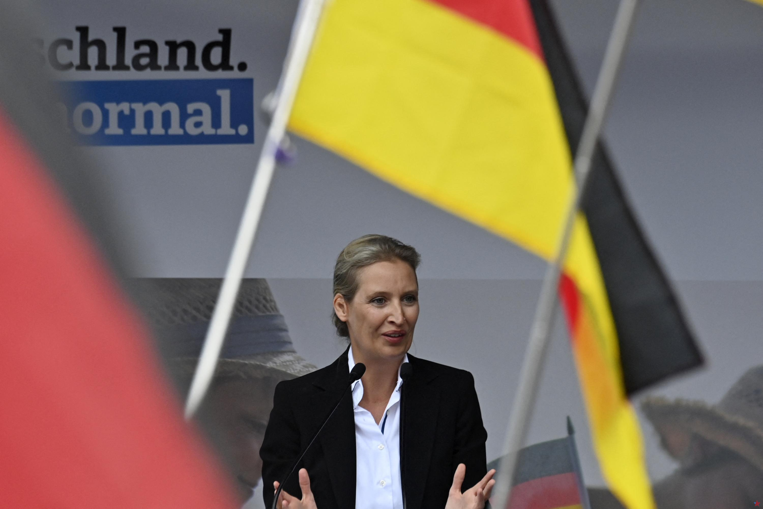 En Alemania, el AfD es ya la segunda fuerza política del país según las encuestas