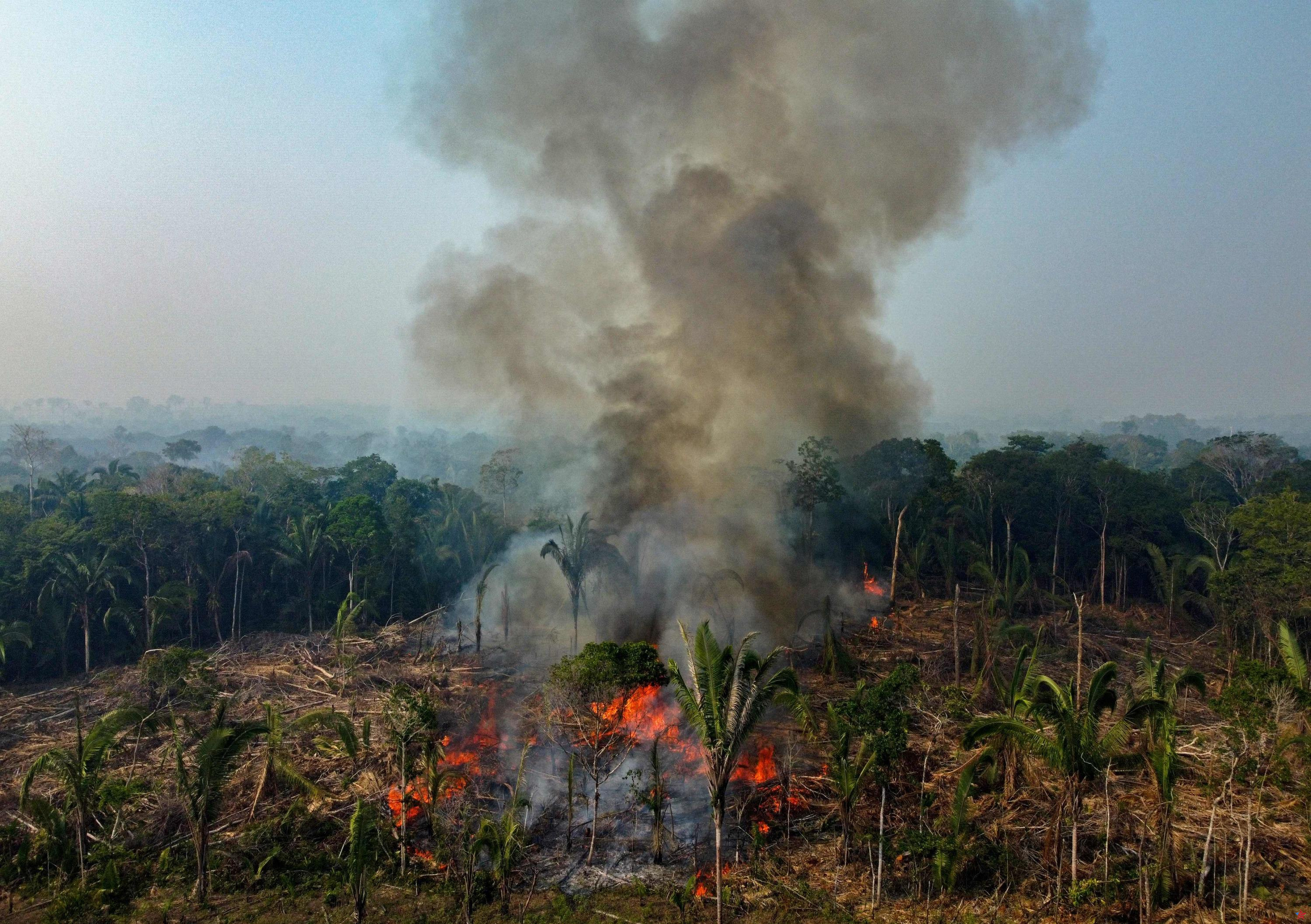 Brasil: casi 3.000 incendios forestales en la Amazonía, récord para el mes de febrero