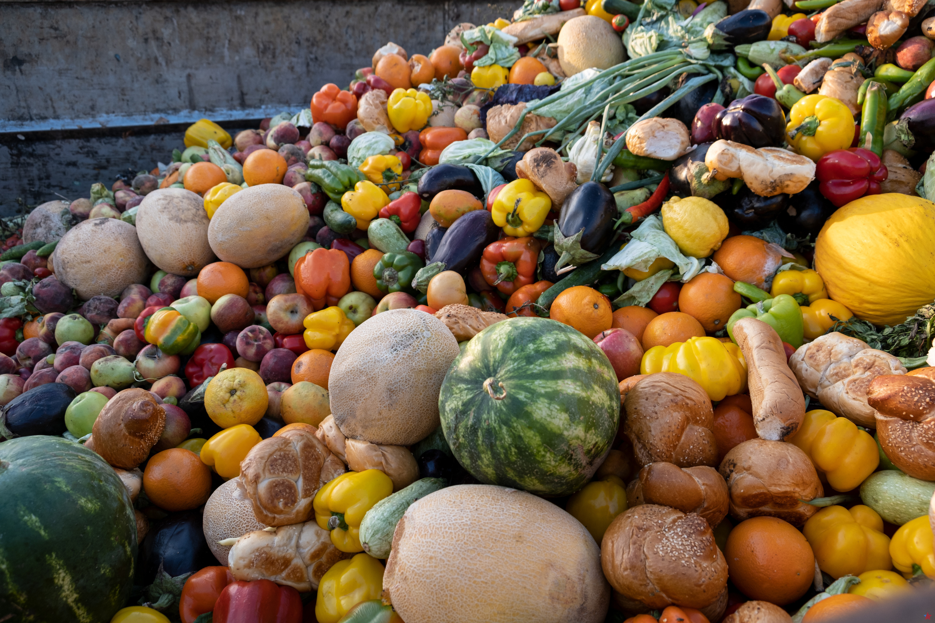 Leclerc retira en toda Francia las verduras que contienen demasiados pesticidas