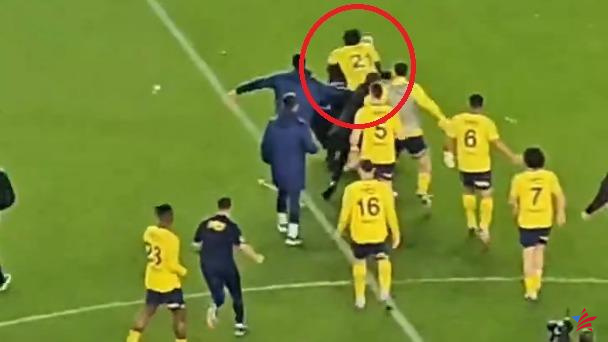 Fútbol: los aficionados turcos entran al campo para pelear con los jugadores (vídeo)