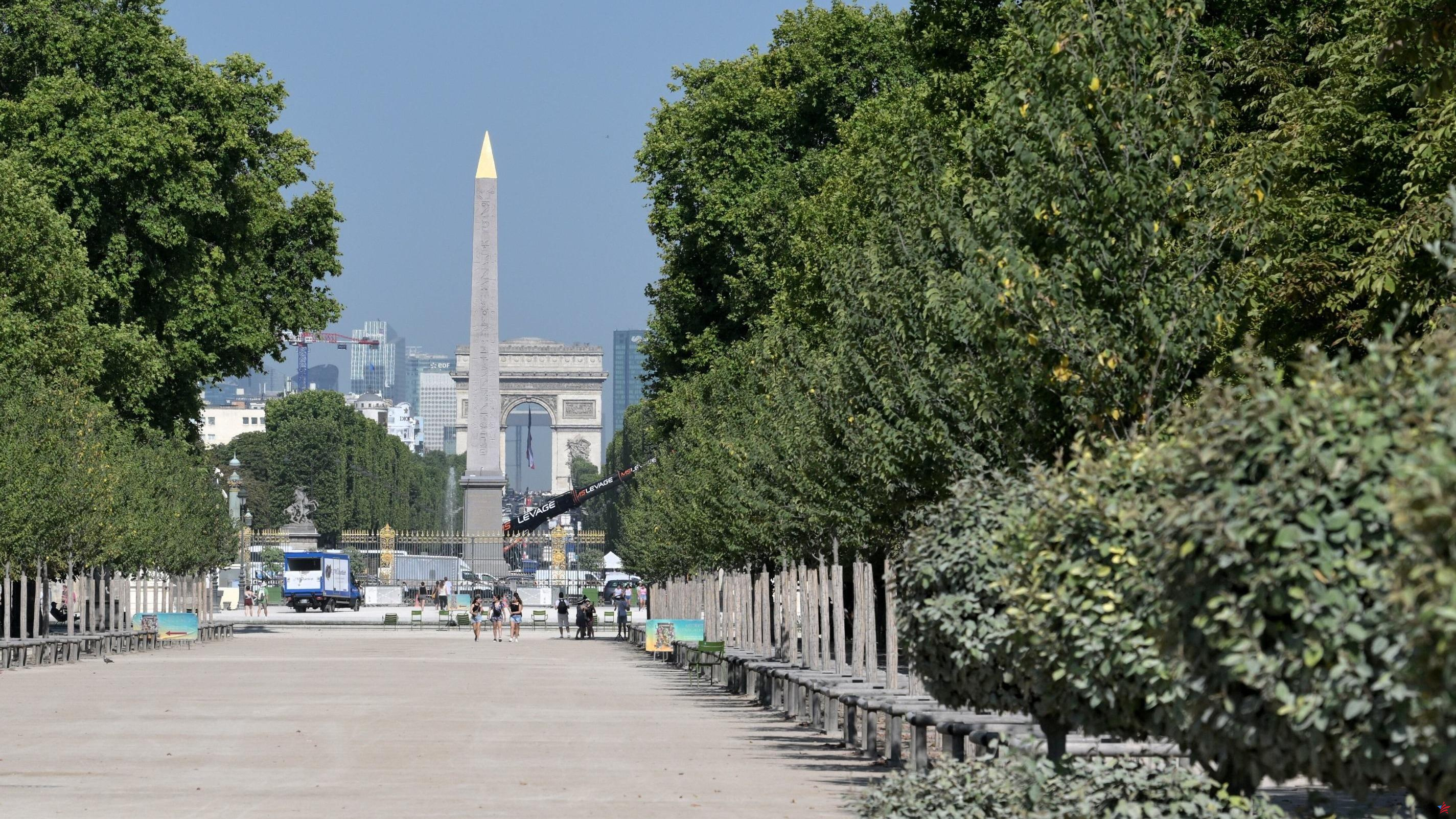 Juegos Olímpicos París 2024: el Jardín de las Tullerías habría sido elegido para albergar la llama olímpica