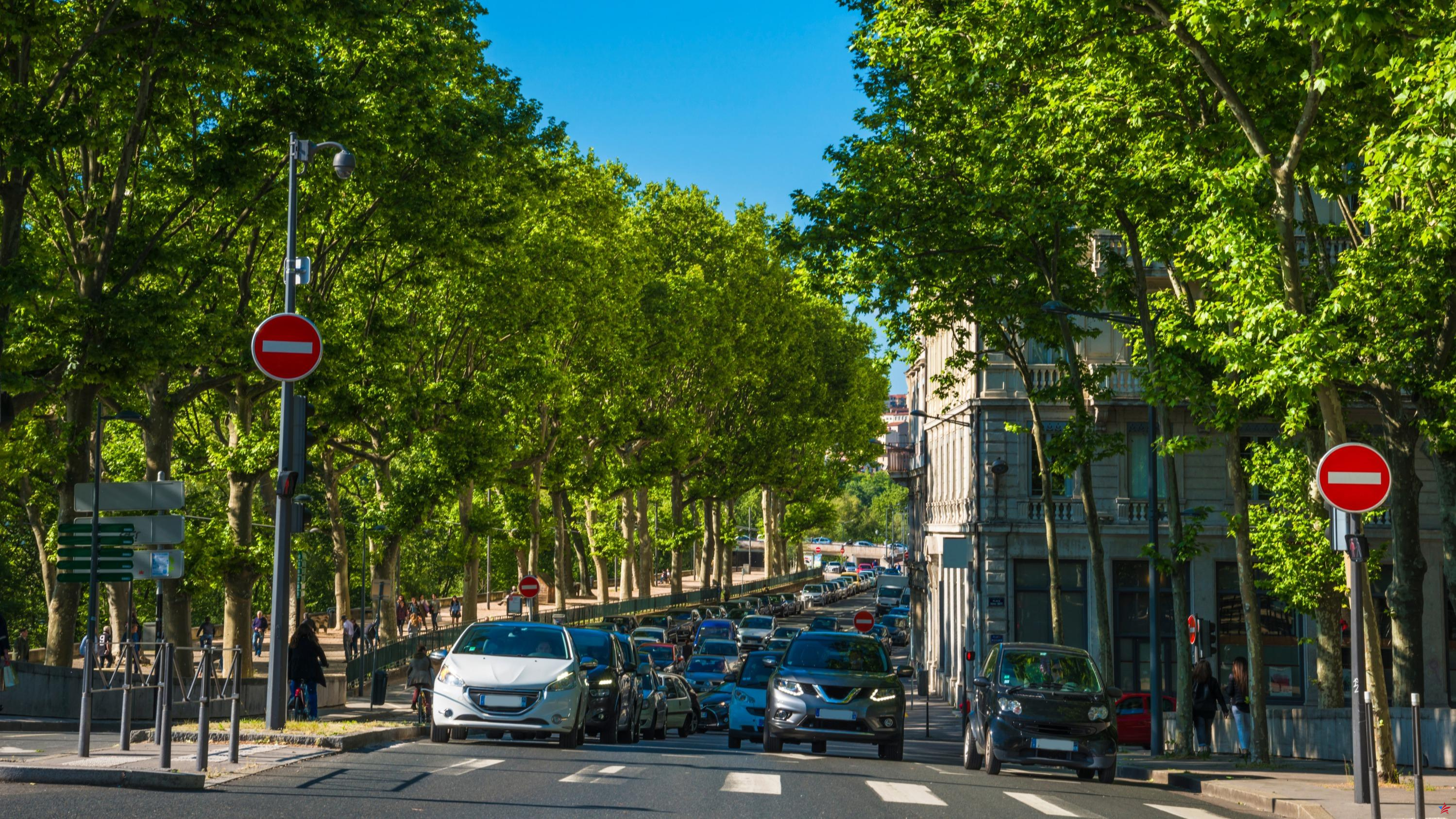 “Reducir la velocidad ha permitido reducir el número de accidentes”: en Lyon, los ecologistas elogian el paso a 30 km/h en la ciudad