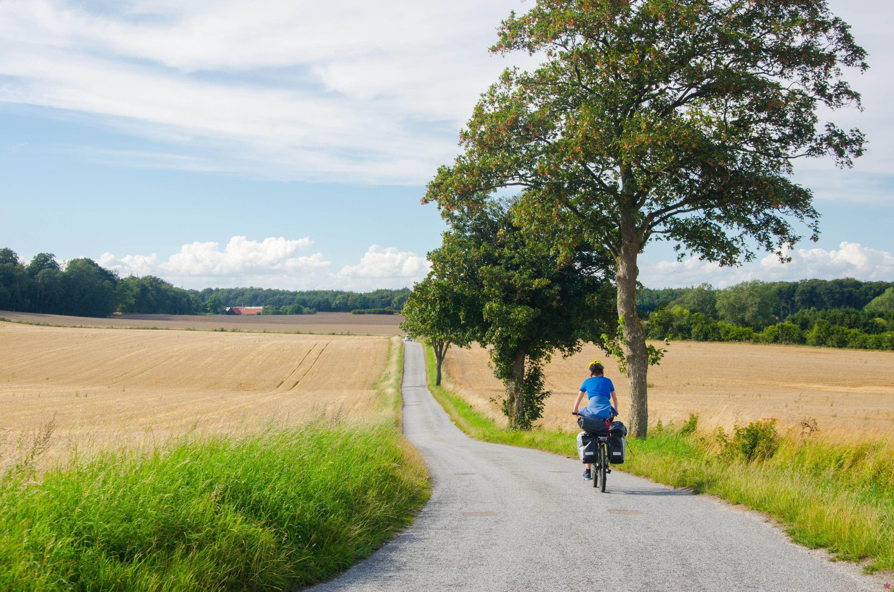 “¡Vamos a empezar de nuevo como en 1900!” : Loira Atlántico quiere desarrollar la bicicleta en las zonas rurales para reducir el uso del coche