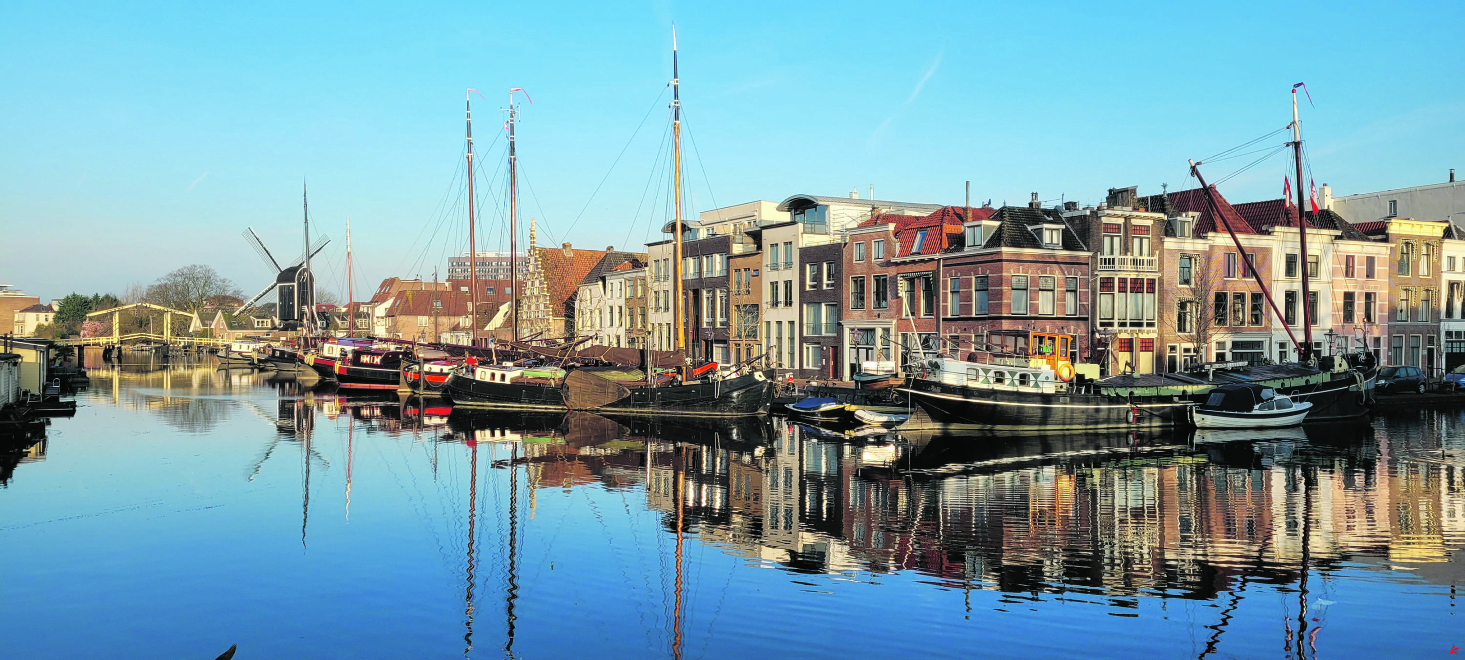 ¡Olvídate de Ámsterdam! En la tierra de los tulipanes, Leiden es el destino estrella de la primavera