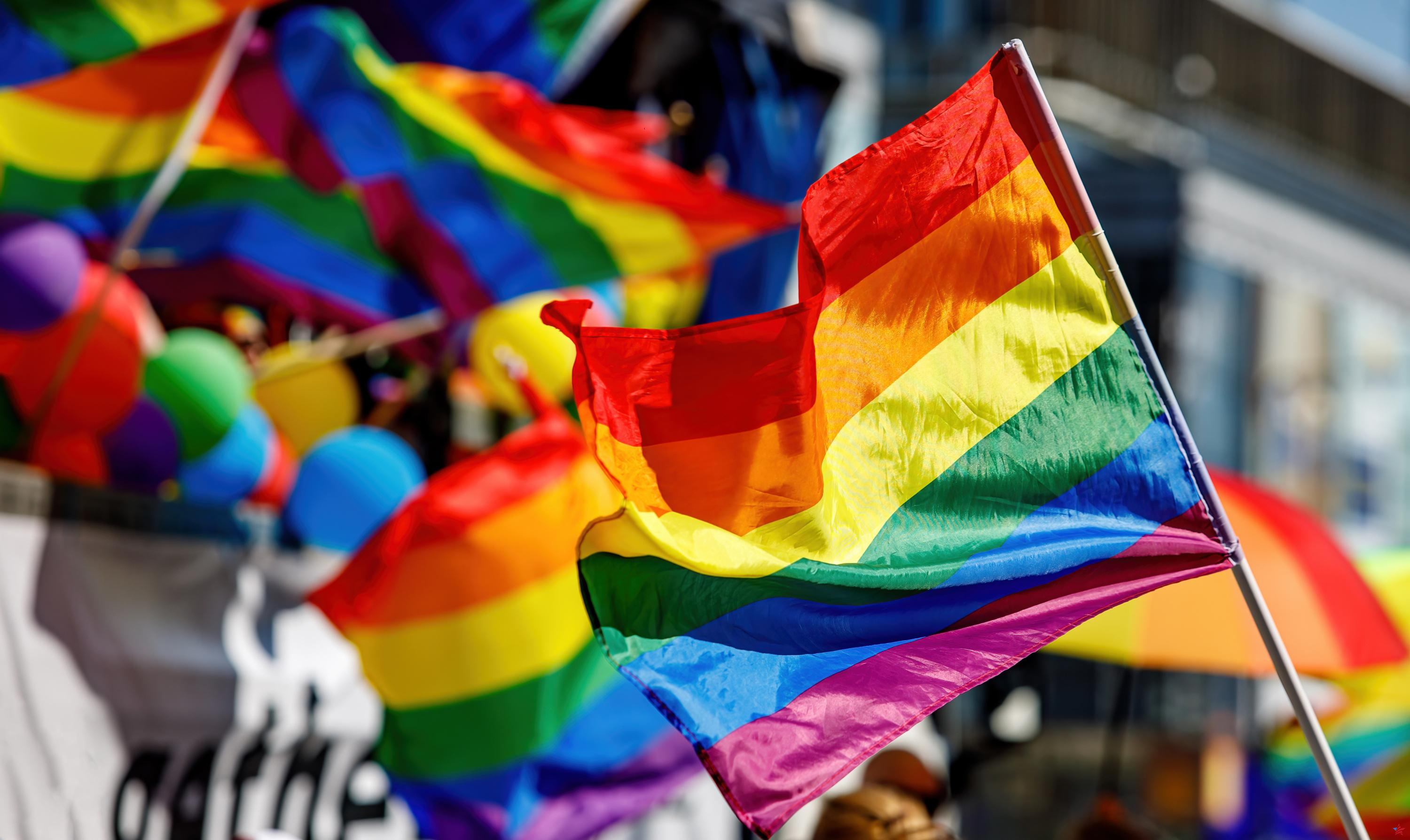 Estados Unidos: Los republicanos prohíben la bandera LGBT en las embajadas, critica Biden