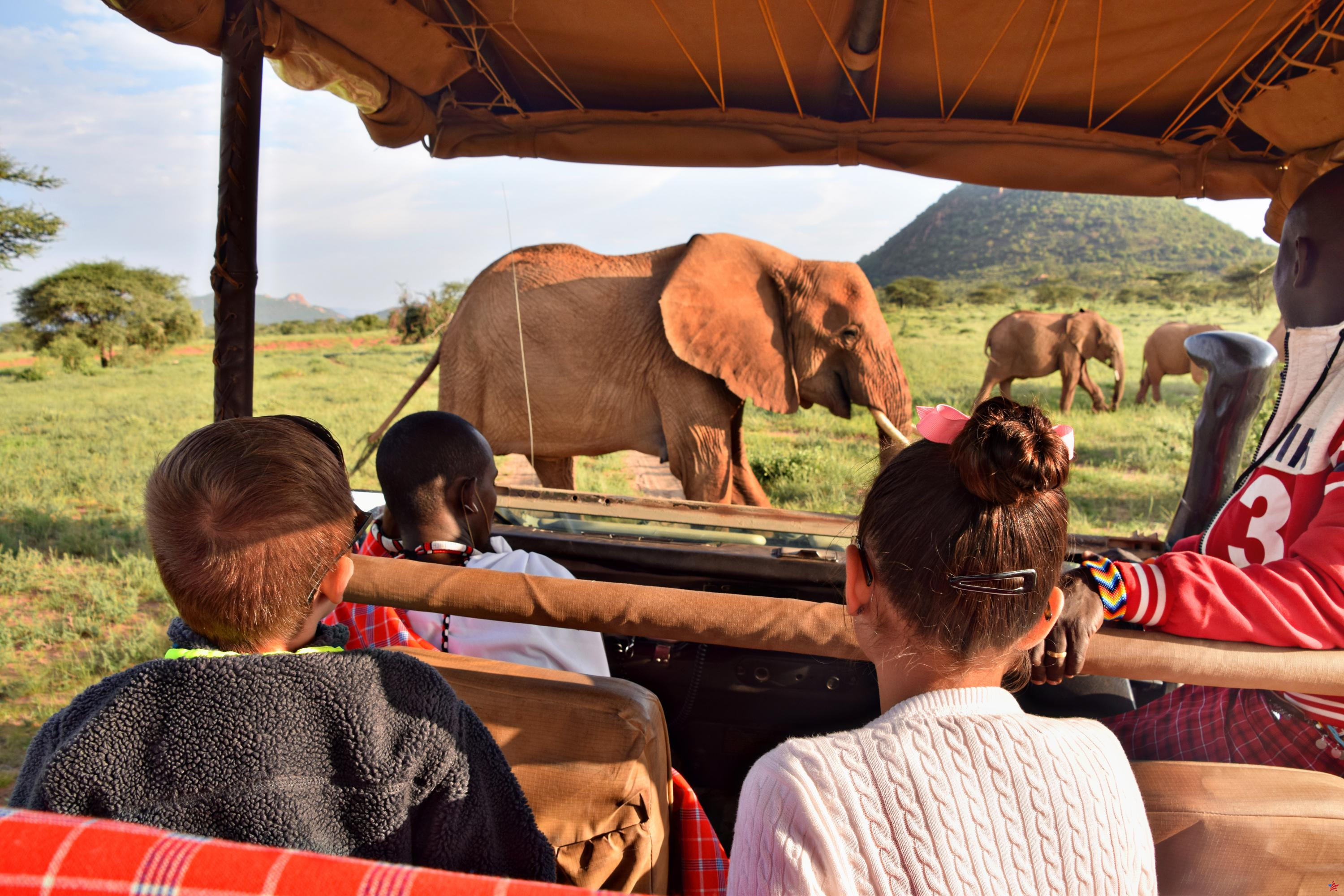 ¿Dónde ir para un primer safari familiar con niños?