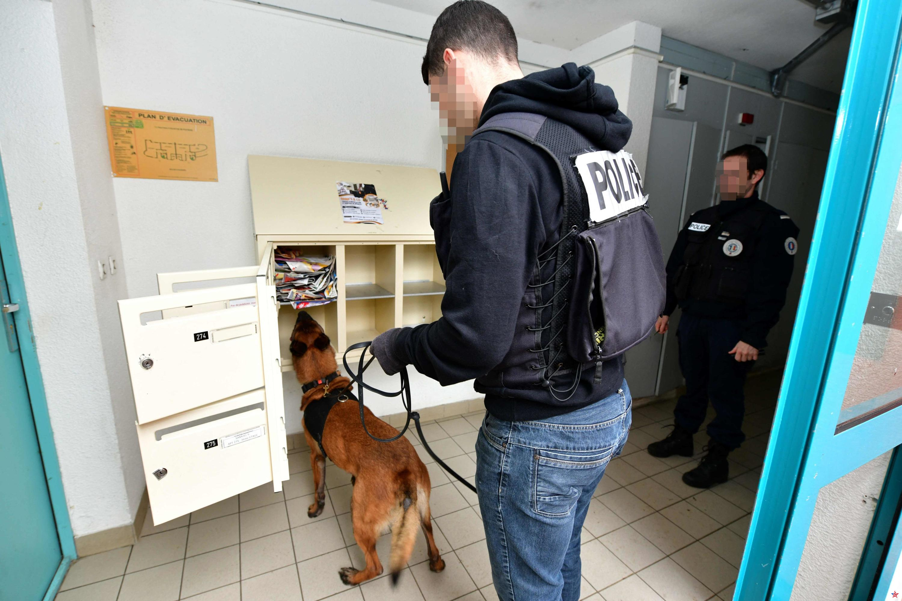 Operación “espacio limpio” en Besançon: una “niñera” condenada a dos años de prisión