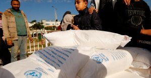 Entienda todo sobre la UNRWA, la agencia de ayuda humanitaria en Gaza en el centro de una controversia