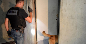 Tráfico de drogas en Nantes: Kalashnikov y ametralladoras descubiertas durante una detención