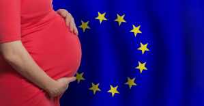 “La disminución de nuestra tasa de natalidad amenaza también los cimientos del poder francés”