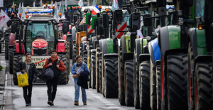 “Dejemos que nuestros políticos asuman sus responsabilidades”: el sindicato de Jóvenes Agricultores presiona al gobierno