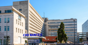 Violencia doméstica: un nuevo sistema para fomentar la presentación de denuncias en el Hospital Universitario de Nantes