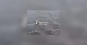 Un navegante muere milagrosamente después de varias horas en un lago cerca de Burdeos