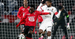Ligue 1: Julien Stephan desmiente los rumores: “Kalimuendo seguirá siendo Rennes”
