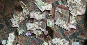 “Nunca pensé que lavaría dinero”: su perro devora 4.000 dólares, recuperan sus billetes con lejía