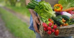 Frutas y verduras: su precio es una barrera para los europeos, que quieren consumir más