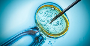 Alabama trata a los embriones congelados como "niños"