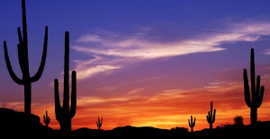 Vacaciones en Arizona: cuatro alojamientos que reservar para vivir el sueño del oeste americano