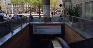 Lyon: un ex yihadista detenido en La Guillotière por insultar a la policía