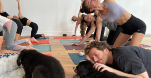 “Puppy yoga”, este concepto importado de Estados Unidos para relajarse con cachorros, llega a Burdeos