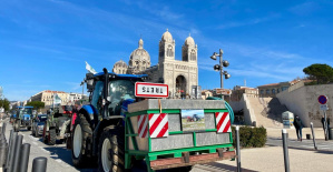 En Marsella, los agricultores marchan por el Puerto Viejo y arrojan estiércol delante de la prefectura