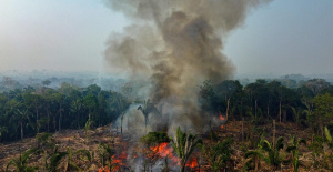 Brasil: casi 3.000 incendios forestales en la Amazonía, récord para el mes de febrero