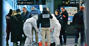 Ataque a la estación de Lyon: detrás de la “locura”, la ultraviolencia