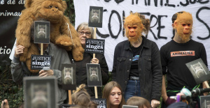 Estrasburgo: la aprobación del centro de primatología rechazada por los tribunales