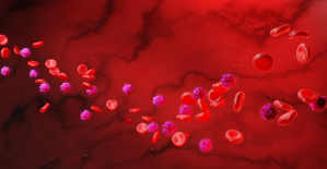 Células madre sanguíneas, centinelas inmunes en los albores de una revolución terapéutica