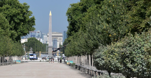 Juegos Olímpicos París 2024: el Jardín de las Tullerías habría sido elegido para albergar la llama olímpica