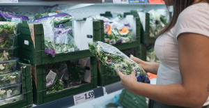 Las ensaladas envasadas “demasiado contaminadas por pesticidas”, advierten 60 millones de consumidores