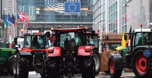 En respuesta al enfado agrícola, Bruselas entierra varias obligaciones medioambientales de la PAC