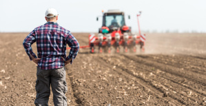 Simplificación de las normas de la PAC: la UE lanza una consulta en línea a los agricultores