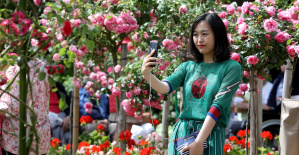 Los jardines de Giverny reabren al público tras batir un “récord absoluto”