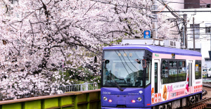 En Tokio, la magia de los cerezos en flor se puede admirar a bordo del discreto “Sakura Tram”