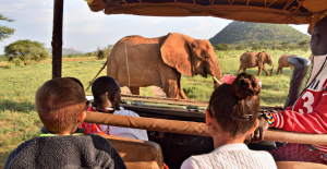 ¿Dónde ir para un primer safari familiar con niños?