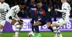 Copa de Francia: Rennes se enfrenta al ganador del PSG-Niza en semifinales