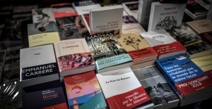 En Estrasburgo, “Capital Mundial del Libro 2024”, las librerías sufren