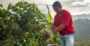 El comercio justo, una respuesta “clara” al enfado de los agricultores, según la ONG Max Havelaar
