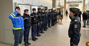 Ródano: una nueva brigada de policía de transporte público en 243 municipios alrededor de Lyon
